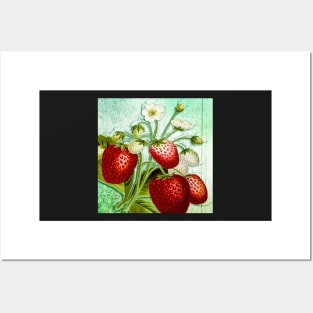 Strawberries Vintage Fruit Strawberry Design Retro Posters and Art